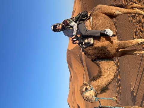       Traveler dressed warmly rides a camel across vast golden dunes beneath a clear blue Sahara sky.
  