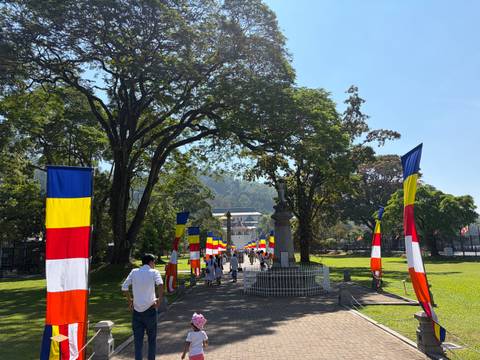       Entrance path lined with multicolor Buddhist flags and large trees leading to a temple complex.
  