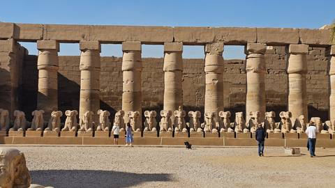       Avenue of ram-headed sphinx statues lined before massive temple pylons under blue sky.
  