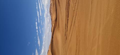       Endless golden sand dunes under deep blue sky with faint vehicle tracks.
  