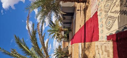      Desert camp entrance lined with red carpet, palm trees and canvas tents under blue sky.
  