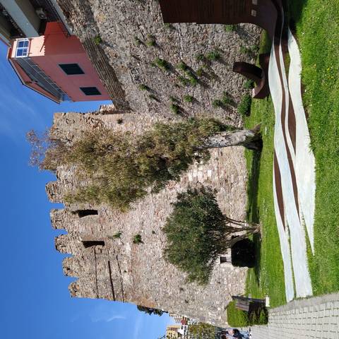       Sunlit stone castle walls rise behind a leafy tree and manicured lawn in a coastal Albanian town.
  
