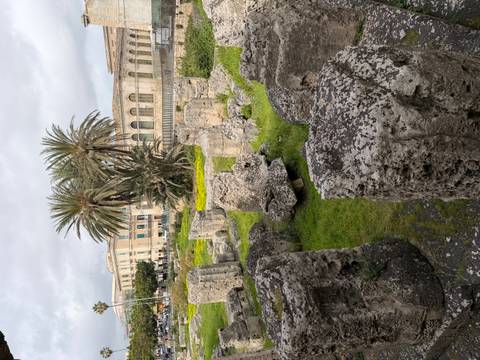       Ruined stone columns and blocks covered in moss sit in a grassy archaeological site with palm trees and classical buildings behind.
  