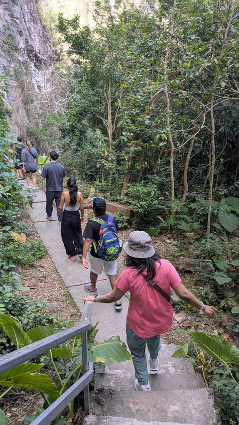       Several young travelers walk down a concrete path through dense green forest vegetation
  