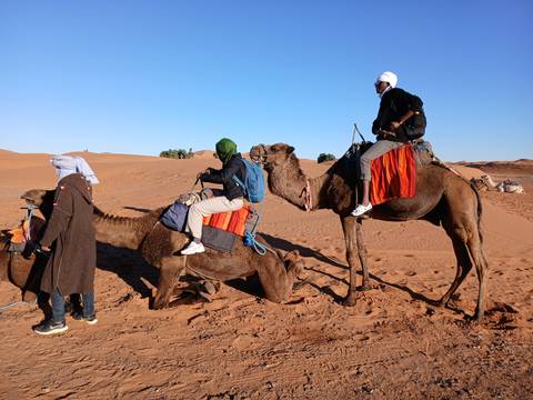       Travelers mounted on camels prepare to trek across red Sahara dunes
  