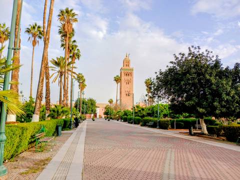       Wide pedestrian avenue leading to Koutoubia Mosque surrounded by palm trees
  