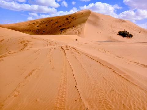       Expansive desert dune with tire and foot tracks leading up sandy slope
  