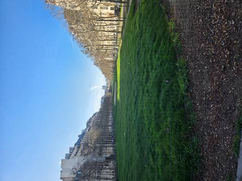       Wide grassy promenade lined with leafless trees stretching toward distant Paris skyline.
  