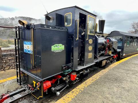       A vintage black steam locomotive with brass details and an Argentinian flag waits on a curved forest track.
  