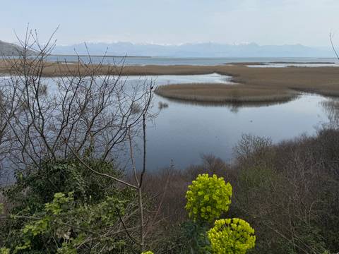       Wetland lake with reed islands and distant snow-capped mountains framed by bare winter branches.
  