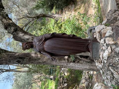       Bronze statue of the Virgin Mary standing beneath olive trees on a rocky pedestal.
  