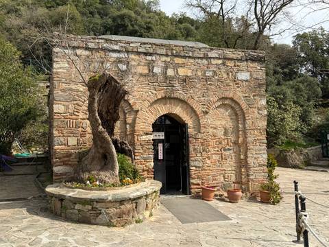       Small stone chapel with twin arched doorway surrounded by potted plants and a gnarled tree trunk.
  