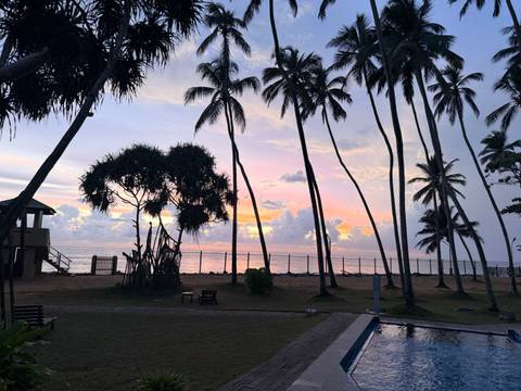       Silhouetted palm trees frame a colorful ocean sunset at a tropical beachfront.
  