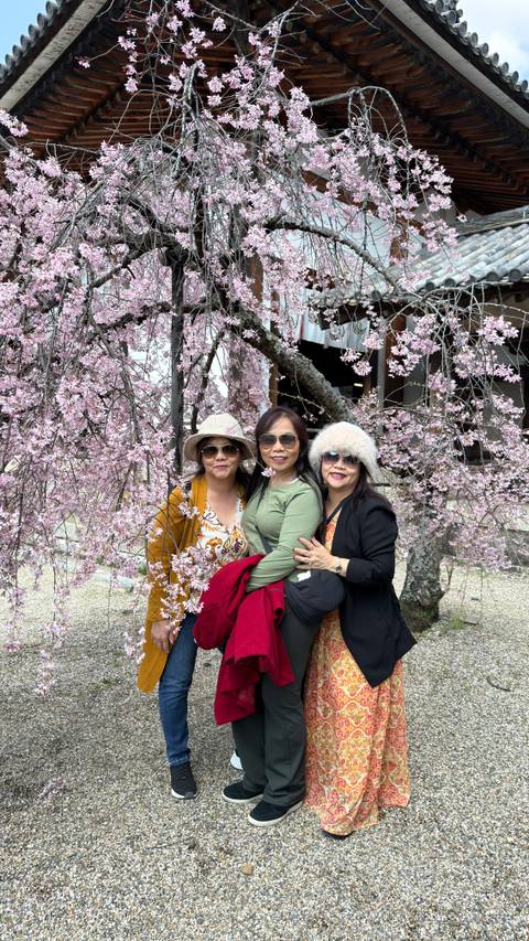       Three women pose happily beneath cascading pink cherry blossoms at a temple courtyard.
  