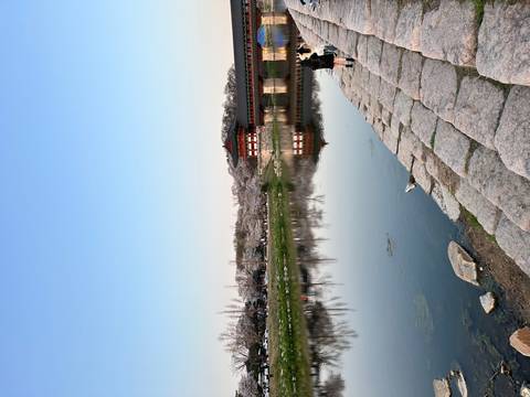      Wide riverside view of the historic Korean bridge with spring blossoms and visitors strolling along the embankment.
  