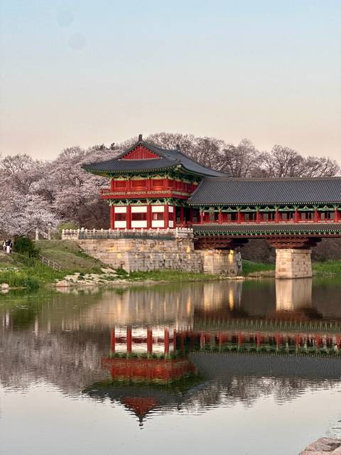       Traditional Korean bridge and pavilion accented by blooming cherry trees at dusk, warmly lit and reflected in the pond.
  