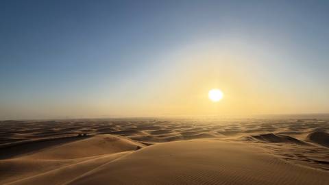      Vast sand-dune landscape bathed in hazy sunrise light over the Sahara.
  