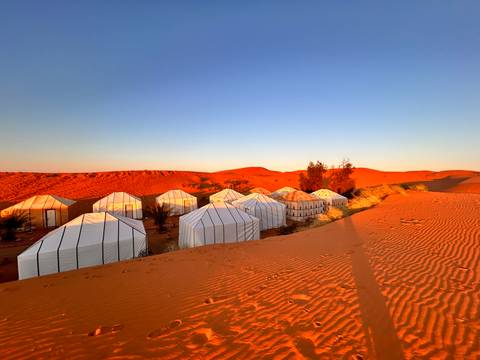       Row of white canvas desert tents glowing at sunrise amid the orange dunes of the Sahara.
  