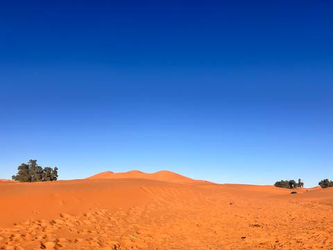       Vast expanse of orange Sahara dunes beneath a cloudless deep-blue sky.
  