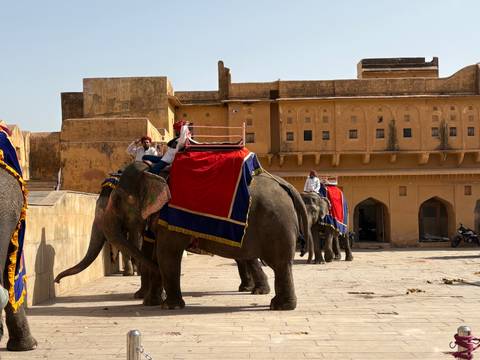       Tourists riding decorated elephants within the sandstone walls of Amber Fort on a sunny day.
  