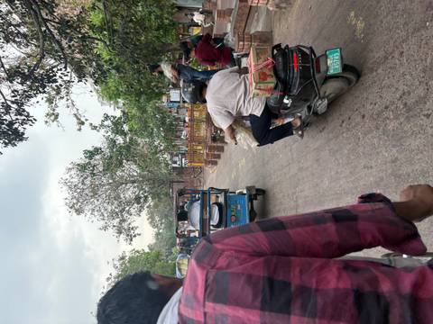       Crowded Indian street with cycle rickshaws, motorbikes and pedestrians moving between leafy trees.
  