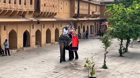       Courtyard of a fort where tourists mount a decorated elephant for a ride.
  