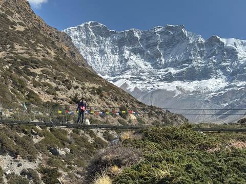       Person stands on a suspension bridge draped with prayer flags below towering ice walls.
  