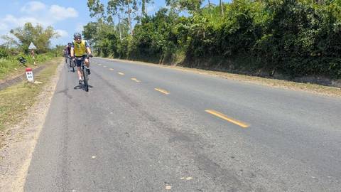       Solo cyclist in yellow jersey riding along a long rural highway lined with lush forest.
  
