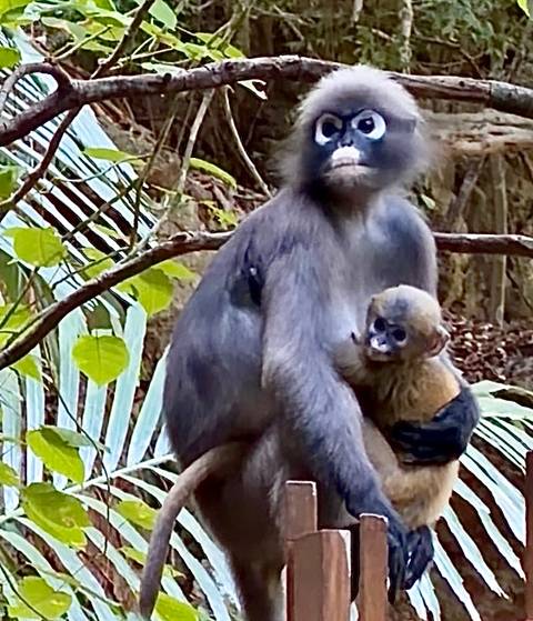       Photo d'avis client sur Thaïlande insulaire en 9 jours 
  