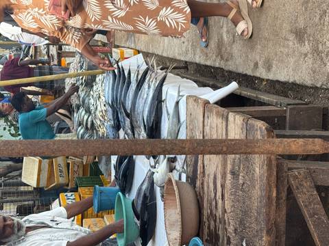       Busy outdoor fish market stall with rows of fresh tuna and vendors preparing seafood.
  
