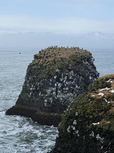       Rugged basalt sea stack covered in birds rises from cold North Atlantic waters with patches of snow.
  