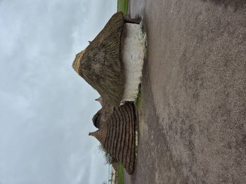       Cluster of reconstructed roundhouses with thatched roofs on a gravel forecourt under grey skies.
  