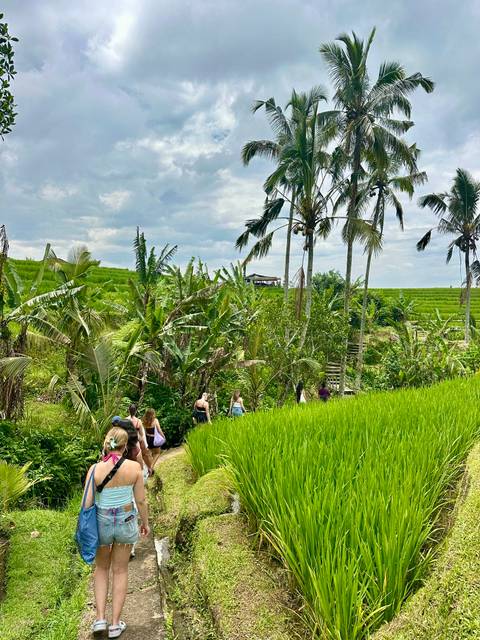       Backpackers trek through lush green rice terraces bordered by palm trees under cloudy skies.
  