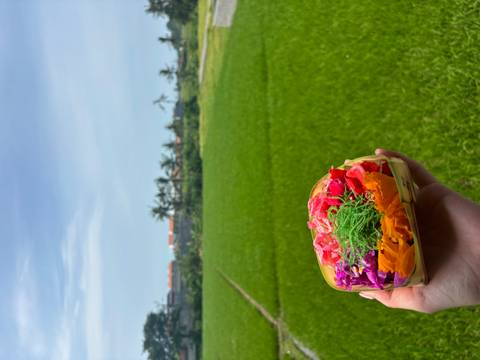       A hand holds a small woven basket filled with brightly colored flower petals and leaves against a lush green rice field under a blue sky.
  