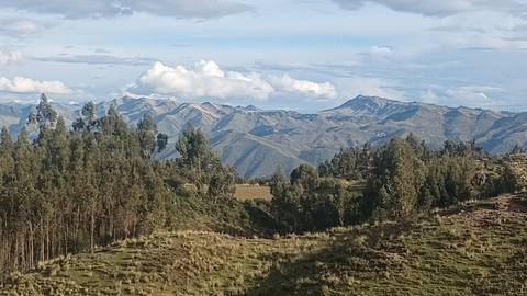       Rolling Andean hills covered in eucalyptus forests beneath dramatic cloud-dappled sky.
  