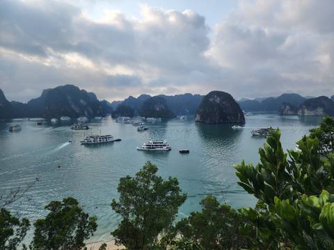       Scenic view over a bay filled with tourist boats cruising between dramatic limestone karst islands.
  