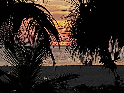       Silhouetted couple on a tropical beach watching a colorful sunset framed by palm leaves.
  