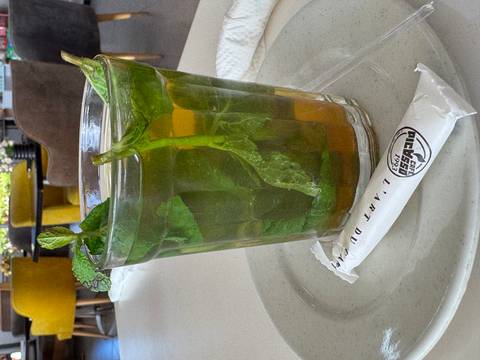       Close-up of a glass of fresh Moroccan mint tea garnished with mint sprigs.
  