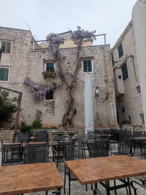       Stone courtyard with empty café tables and a blooming wisteria vine.
  