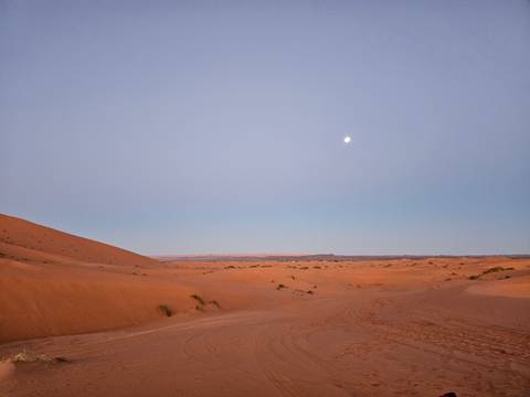       Vast moonlit dunes stretch beneath a pastel desert dawn sky.
  