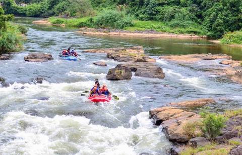       Several rafts navigate white-water rapids on a lush jungle river with paddlers in colorful gear.
  