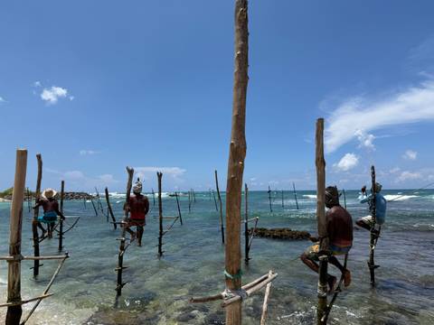       Traditional stilt fishermen balance on poles above clear blue waves along a tropical shoreline under bright sky.
  