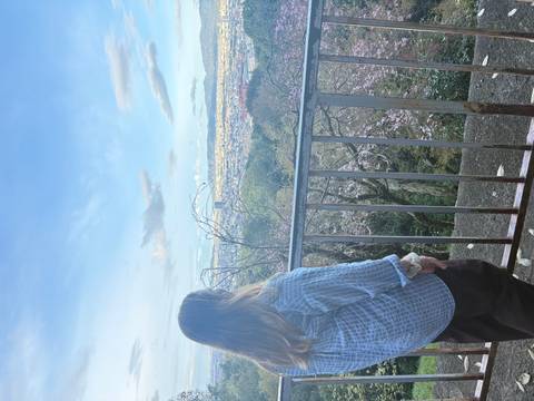       Woman enjoying a panoramic city and cherry blossom view from a hilltop railing.
  