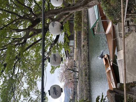       Traditional wooden boats moored on a calm river framed by lanterns, trees, and blossoms.
  