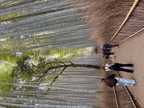       Visitors strolling along a dirt path between soaring bamboo stalks in a serene grove.
  