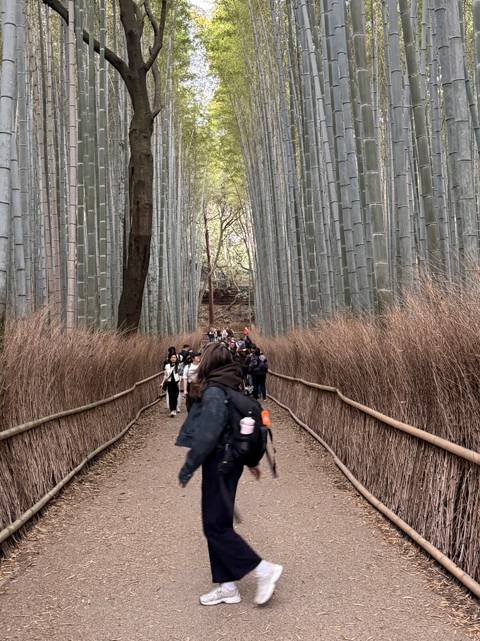       Crowded pathway through towering bamboo stalks with motion-blurred visitors in the foreground.
  