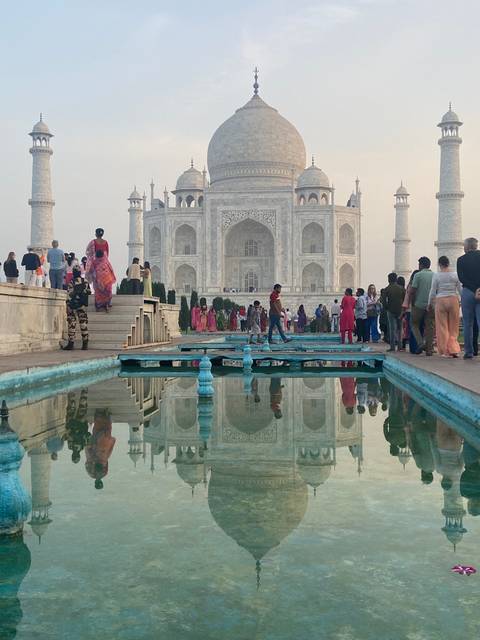       Photo d'avis client sur Taj Mahal et faune sauvage avec séjour royal dans des châteaux 
  