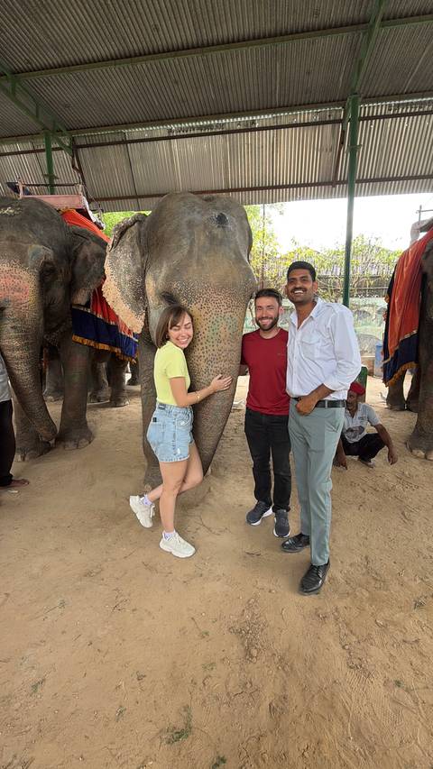       Travellers stand close to a decorated elephant, smiling for a photo in Jaipur
  