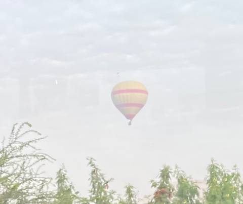       Photo d'avis client sur 8 jours Pyramides (visite GEM) et croisière sur le Nil Assouan - Abou Simbel - Louxor - Hurghada 
  