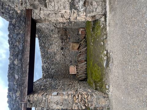       Empty stone enclosure within the ruins of Pompeii with mossy ground and wooden planks.
  